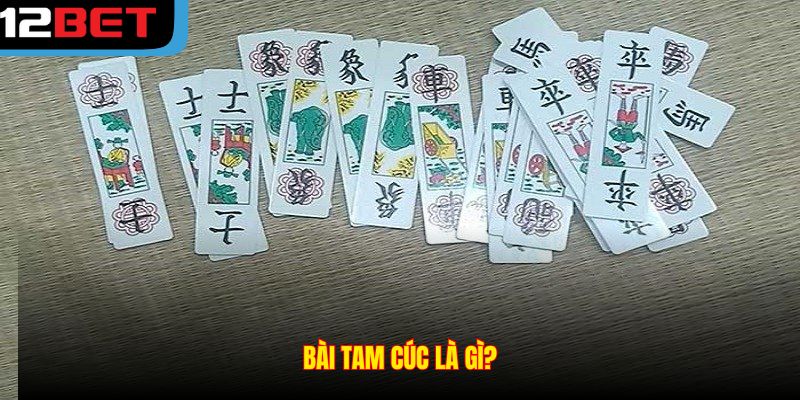 Bài Tam cúc là gì?